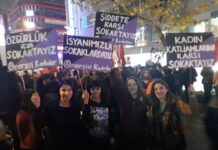 Ankara’da Anarşist Kadınlar 25 Kasım’da Sokakta!