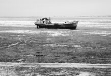 Bilimsel Sosyalizm’den Ekososyalizm Çıkar mı? – Hüseyin Civan