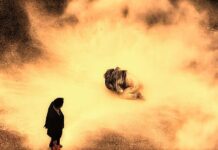 Kalp Krizi Değil Sizin Kriziniz – Şamil Parlak