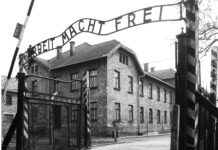 Yalan (1) – Boş Zaman